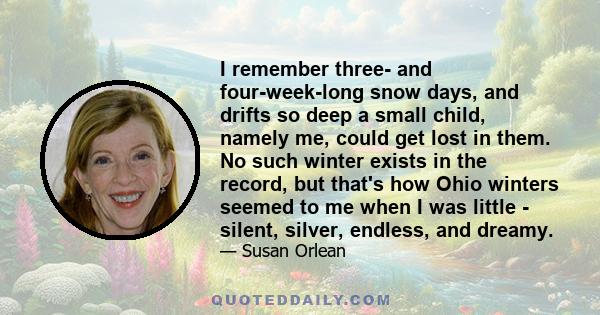 I remember three- and four-week-long snow days, and drifts so deep a small child, namely me, could get lost in them. No such winter exists in the record, but that's how Ohio winters seemed to me when I was little -