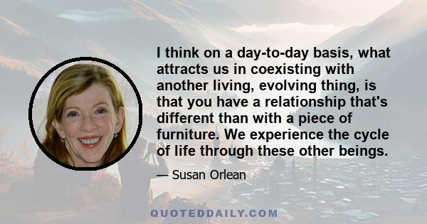 I think on a day-to-day basis, what attracts us in coexisting with another living, evolving thing, is that you have a relationship that's different than with a piece of furniture. We experience the cycle of life through 