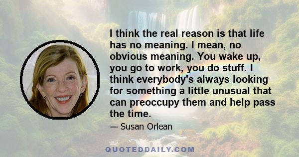 I think the real reason is that life has no meaning. I mean, no obvious meaning. You wake up, you go to work, you do stuff. I think everybody's always looking for something a little unusual that can preoccupy them and