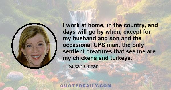 I work at home, in the country, and days will go by when, except for my husband and son and the occasional UPS man, the only sentient creatures that see me are my chickens and turkeys.