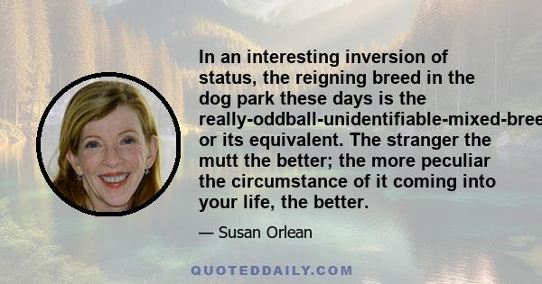 In an interesting inversion of status, the reigning breed in the dog park these days is the really-oddball-unidentifiable-mixed-breed-mutt-found-wandering-the-street or its equivalent. The stranger the mutt the better;