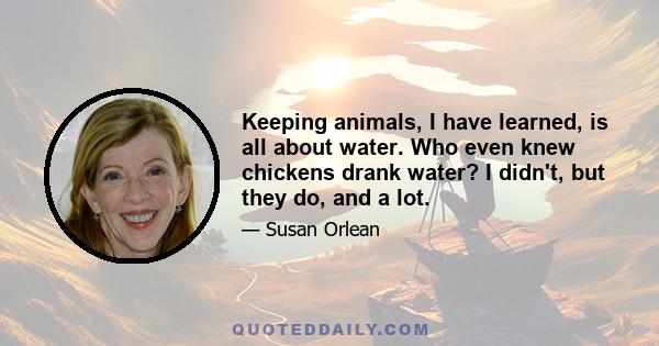 Keeping animals, I have learned, is all about water. Who even knew chickens drank water? I didn't, but they do, and a lot.