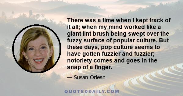 There was a time when I kept track of it all; when my mind worked like a giant lint brush being swept over the fuzzy surface of popular culture. But these days, pop culture seems to have gotten fuzzier and fuzzier;