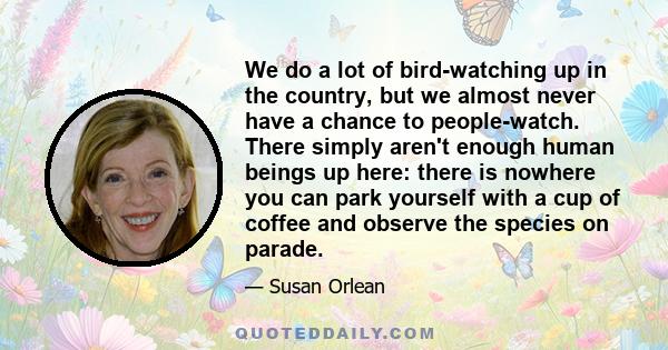 We do a lot of bird-watching up in the country, but we almost never have a chance to people-watch. There simply aren't enough human beings up here: there is nowhere you can park yourself with a cup of coffee and observe 