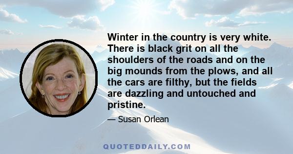 Winter in the country is very white. There is black grit on all the shoulders of the roads and on the big mounds from the plows, and all the cars are filthy, but the fields are dazzling and untouched and pristine.