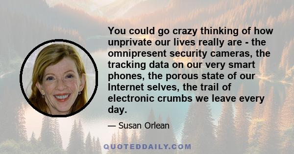 You could go crazy thinking of how unprivate our lives really are - the omnipresent security cameras, the tracking data on our very smart phones, the porous state of our Internet selves, the trail of electronic crumbs