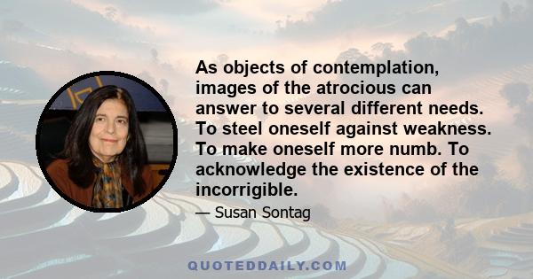 As objects of contemplation, images of the atrocious can answer to several different needs. To steel oneself against weakness. To make oneself more numb. To acknowledge the existence of the incorrigible.