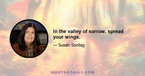 In the valley of sorrow, spread your wings.