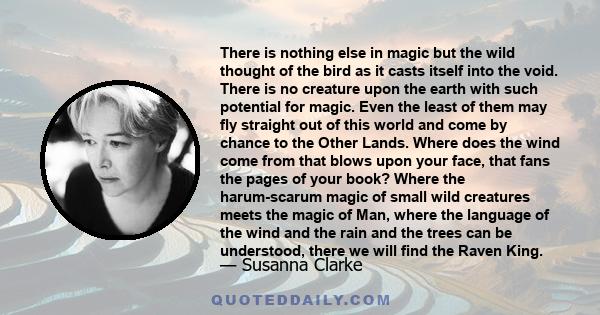 There is nothing else in magic but the wild thought of the bird as it casts itself into the void. There is no creature upon the earth with such potential for magic. Even the least of them may fly straight out of this