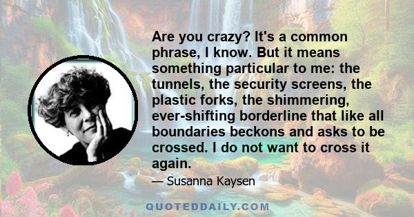 Are you crazy? It's a common phrase, I know. But it means something particular to me: the tunnels, the security screens, the plastic forks, the shimmering, ever-shifting borderline that like all boundaries beckons and