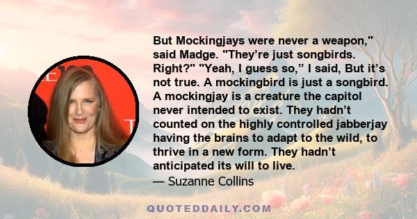 But Mockingjays were never a weapon, said Madge. They’re just songbirds. Right? Yeah, I guess so,” I said, But it’s not true. A mockingbird is just a songbird. A mockingjay is a creature the capitol never intended to