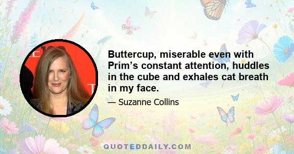 Buttercup, miserable even with Prim’s constant attention, huddles in the cube and exhales cat breath in my face.