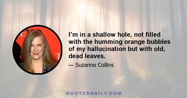 I’m in a shallow hole, not filled with the humming orange bubbles of my hallucination but with old, dead leaves.