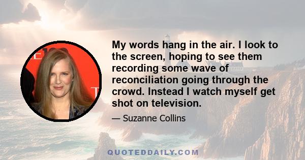 My words hang in the air. I look to the screen, hoping to see them recording some wave of reconciliation going through the crowd. Instead I watch myself get shot on television.