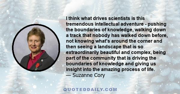 I think what drives scientists is this tremendous intellectual adventure - pushing the boundaries of knowledge, walking down a track that nobody has walked down before, not knowing what's around the corner and then