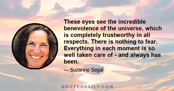 These eyes see the incredible benevolence of the universe, which is completely trustworthy in all respects. There is nothing to fear. Everything in each moment is so well taken care of - and always has been.