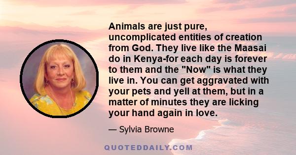 Animals are just pure, uncomplicated entities of creation from God. They live like the Maasai do in Kenya-for each day is forever to them and the Now is what they live in. You can get aggravated with your pets and yell