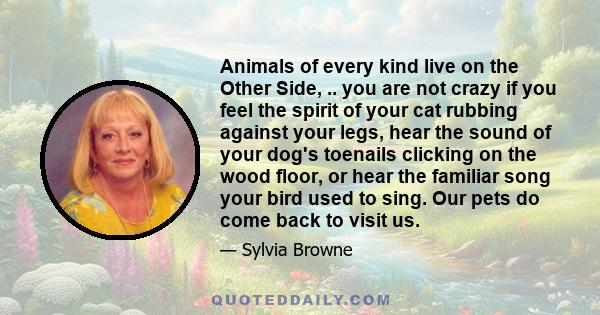 Animals of every kind live on the Other Side, .. you are not crazy if you feel the spirit of your cat rubbing against your legs, hear the sound of your dog's toenails clicking on the wood floor, or hear the familiar