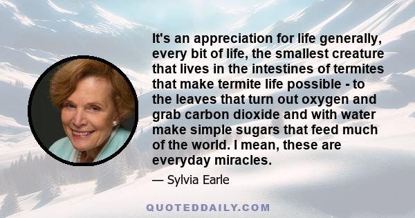 It's an appreciation for life generally, every bit of life, the smallest creature that lives in the intestines of termites that make termite life possible - to the leaves that turn out oxygen and grab carbon dioxide and 