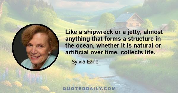 Like a shipwreck or a jetty, almost anything that forms a structure in the ocean, whether it is natural or artificial over time, collects life.