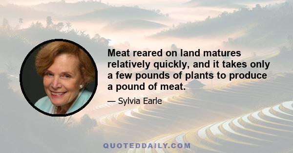 Meat reared on land matures relatively quickly, and it takes only a few pounds of plants to produce a pound of meat.