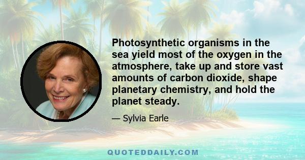 Photosynthetic organisms in the sea yield most of the oxygen in the atmosphere, take up and store vast amounts of carbon dioxide, shape planetary chemistry, and hold the planet steady.