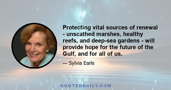 Protecting vital sources of renewal - unscathed marshes, healthy reefs, and deep-sea gardens - will provide hope for the future of the Gulf, and for all of us.