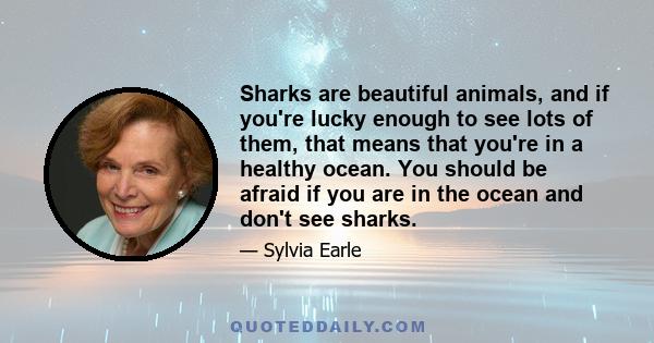 Sharks are beautiful animals, and if you're lucky enough to see lots of them, that means that you're in a healthy ocean. You should be afraid if you are in the ocean and don't see sharks.