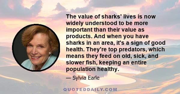 The value of sharks' lives is now widely understood to be more important than their value as products. And when you have sharks in an area, it's a sign of good health. They're top predators, which means they feed on