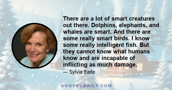 There are a lot of smart creatures out there. Dolphins, elephants, and whales are smart. And there are some really smart birds. I know some really intelligent fish. But they cannot know what humans know and are