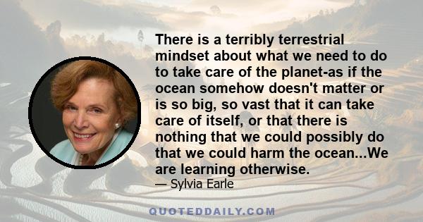 There is a terribly terrestrial mindset about what we need to do to take care of the planet-as if the ocean somehow doesn't matter or is so big, so vast that it can take care of itself, or that there is nothing that we