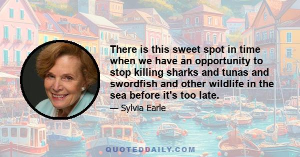 There is this sweet spot in time when we have an opportunity to stop killing sharks and tunas and swordfish and other wildlife in the sea before it's too late.