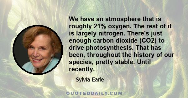 We have an atmosphere that is roughly 21% oxygen. The rest of it is largely nitrogen. There's just enough carbon dioxide (CO2) to drive photosynthesis. That has been, throughout the history of our species, pretty