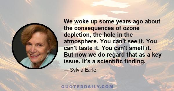 We woke up some years ago about the consequences of ozone depletion, the hole in the atmosphere. You can't see it. You can't taste it. You can't smell it. But now we do regard that as a key issue. It's a scientific