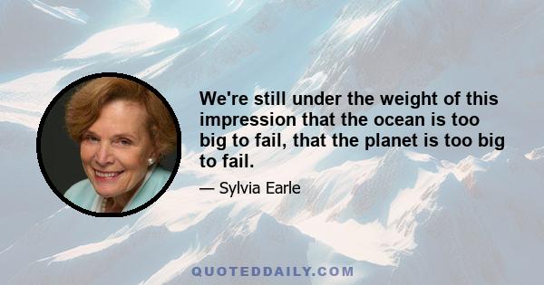 We're still under the weight of this impression that the ocean is too big to fail, that the planet is too big to fail.