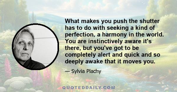 What makes you push the shutter has to do with seeking a kind of perfection, a harmony in the world. You are instinctively aware it's there, but you've got to be completely alert and quick and so deeply awake that it