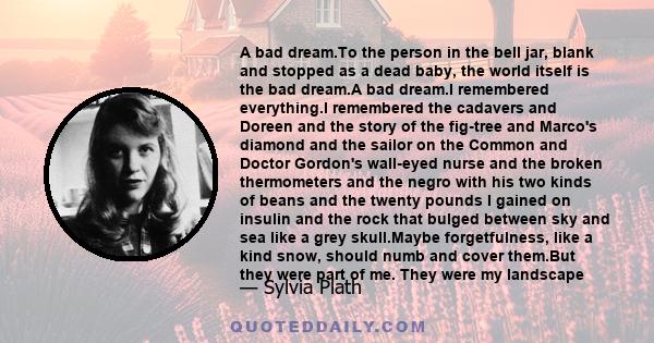 A bad dream.To the person in the bell jar, blank and stopped as a dead baby, the world itself is the bad dream.A bad dream.I remembered everything.I remembered the cadavers and Doreen and the story of the fig-tree and