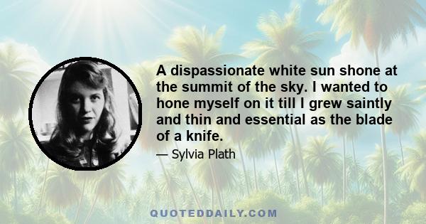 A dispassionate white sun shone at the summit of the sky. I wanted to hone myself on it till I grew saintly and thin and essential as the blade of a knife.