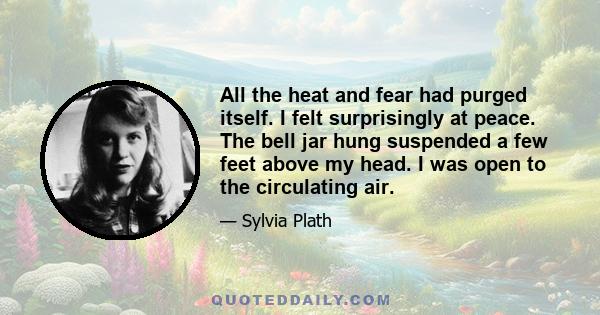 All the heat and fear had purged itself. I felt surprisingly at peace. The bell jar hung suspended a few feet above my head. I was open to the circulating air.