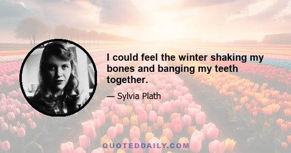 I could feel the winter shaking my bones and banging my teeth together.