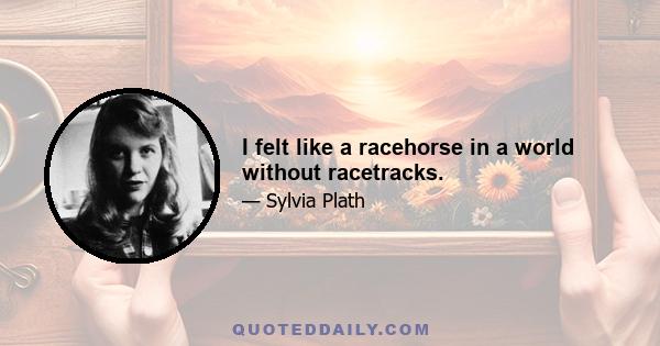 I felt like a racehorse in a world without racetracks.