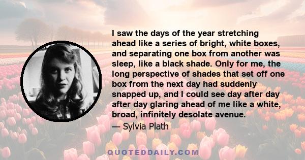 I saw the days of the year stretching ahead like a series of bright, white boxes, and separating one box from another was sleep, like a black shade. Only for me, the long perspective of shades that set off one box from