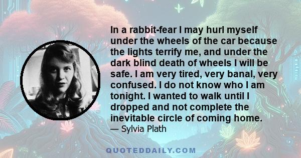 In a rabbit-fear I may hurl myself under the wheels of the car because the lights terrify me, and under the dark blind death of wheels I will be safe. I am very tired, very banal, very confused. I do not know who I am