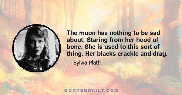 The moon has nothing to be sad about, Staring from her hood of bone. She is used to this sort of thing. Her blacks crackle and drag.