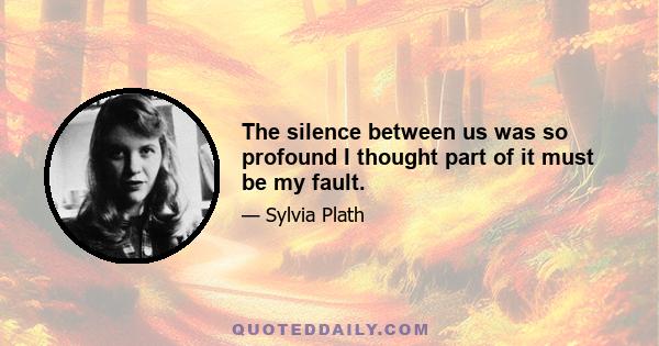 The silence between us was so profound I thought part of it must be my fault.