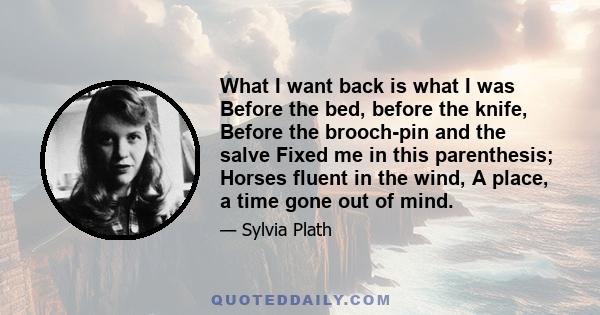 What I want back is what I was Before the bed, before the knife, Before the brooch-pin and the salve Fixed me in this parenthesis; Horses fluent in the wind, A place, a time gone out of mind.