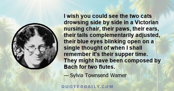 I wish you could see the two cats drowsing side by side in a Victorian nursing chair, their paws, their ears, their tails complementarily adjusted, their blue eyes blinking open on a single thought of when I shall