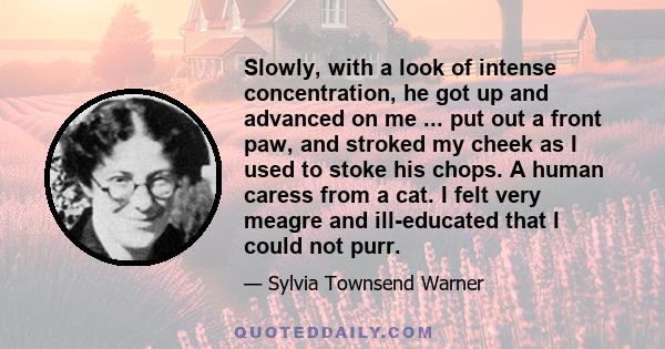 Slowly, with a look of intense concentration, he got up and advanced on me ... put out a front paw, and stroked my cheek as I used to stoke his chops. A human caress from a cat. I felt very meagre and ill-educated that