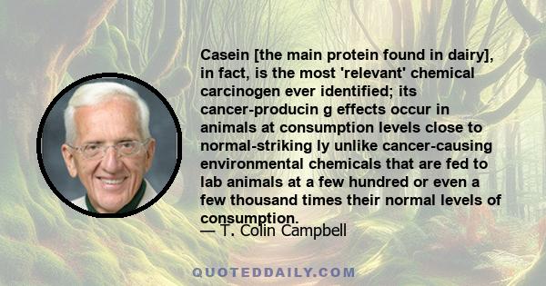 Casein [the main protein found in dairy], in fact, is the most 'relevant' chemical carcinogen ever identified; its cancer-producin g effects occur in animals at consumption levels close to normal-striking ly unlike