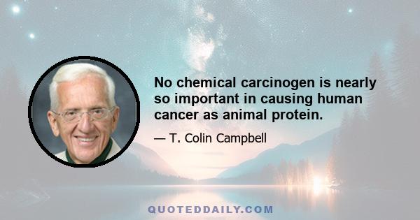 No chemical carcinogen is nearly so important in causing human cancer as animal protein.